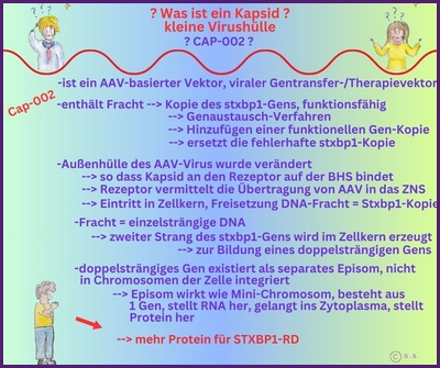 Was ist ein Capsid?