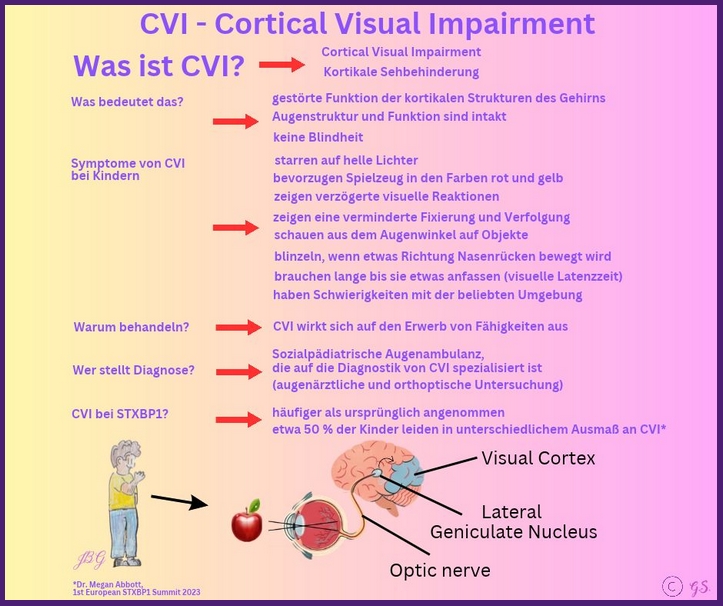 CVI bei STXBP1-RD