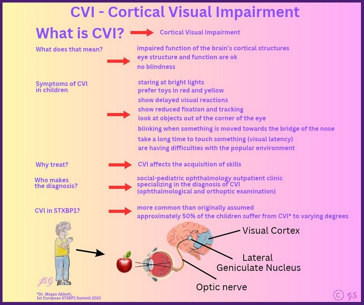 CVI bei STXBP1-RD