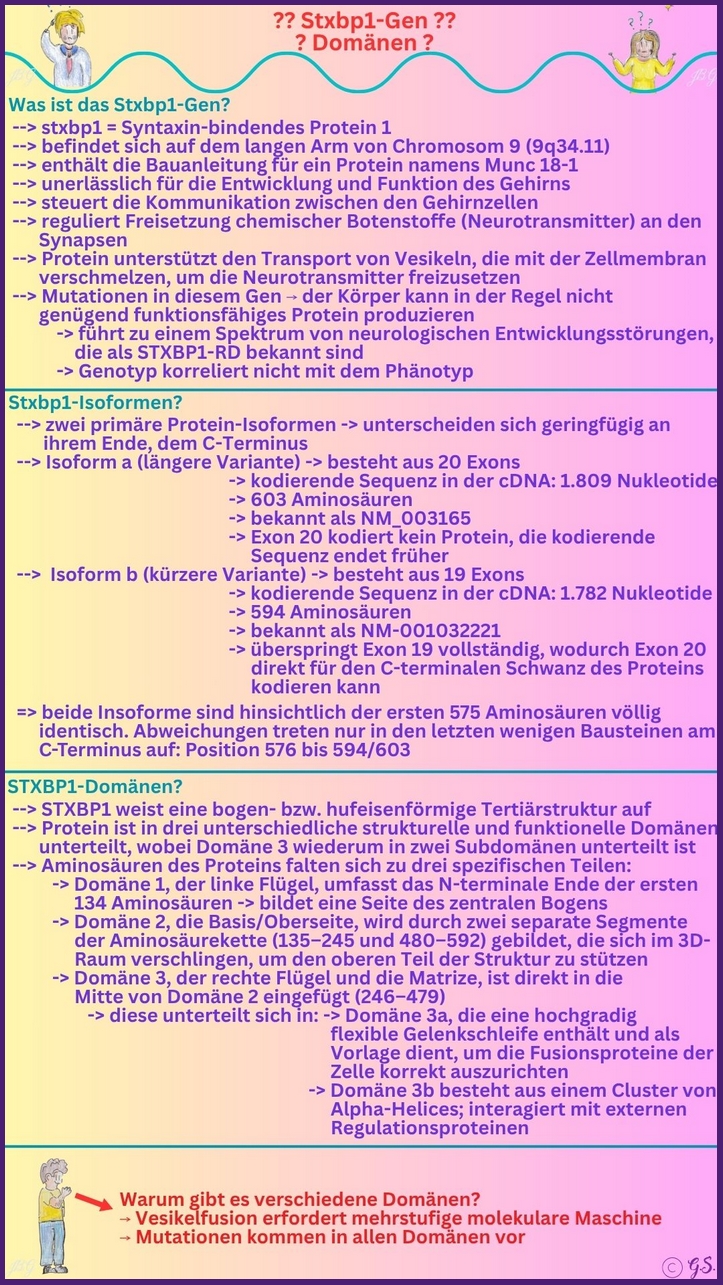 Domainen