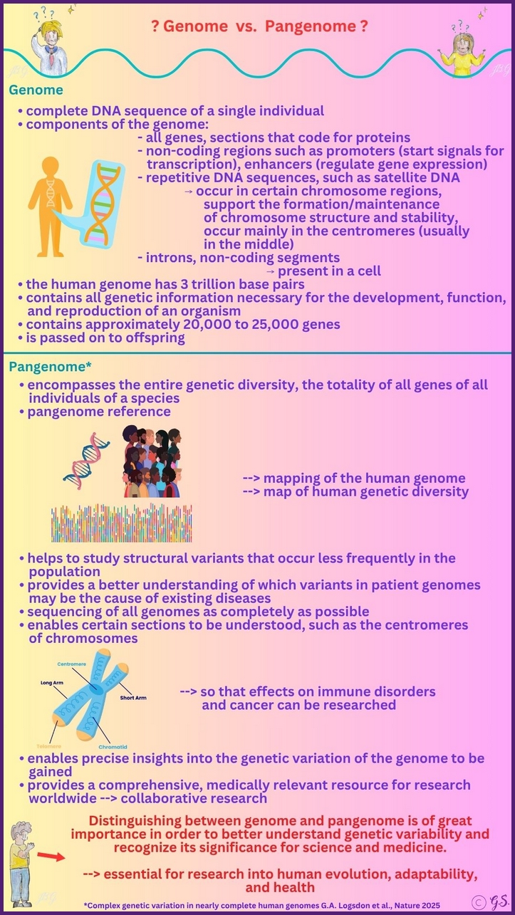 Genom vs. Pangenom