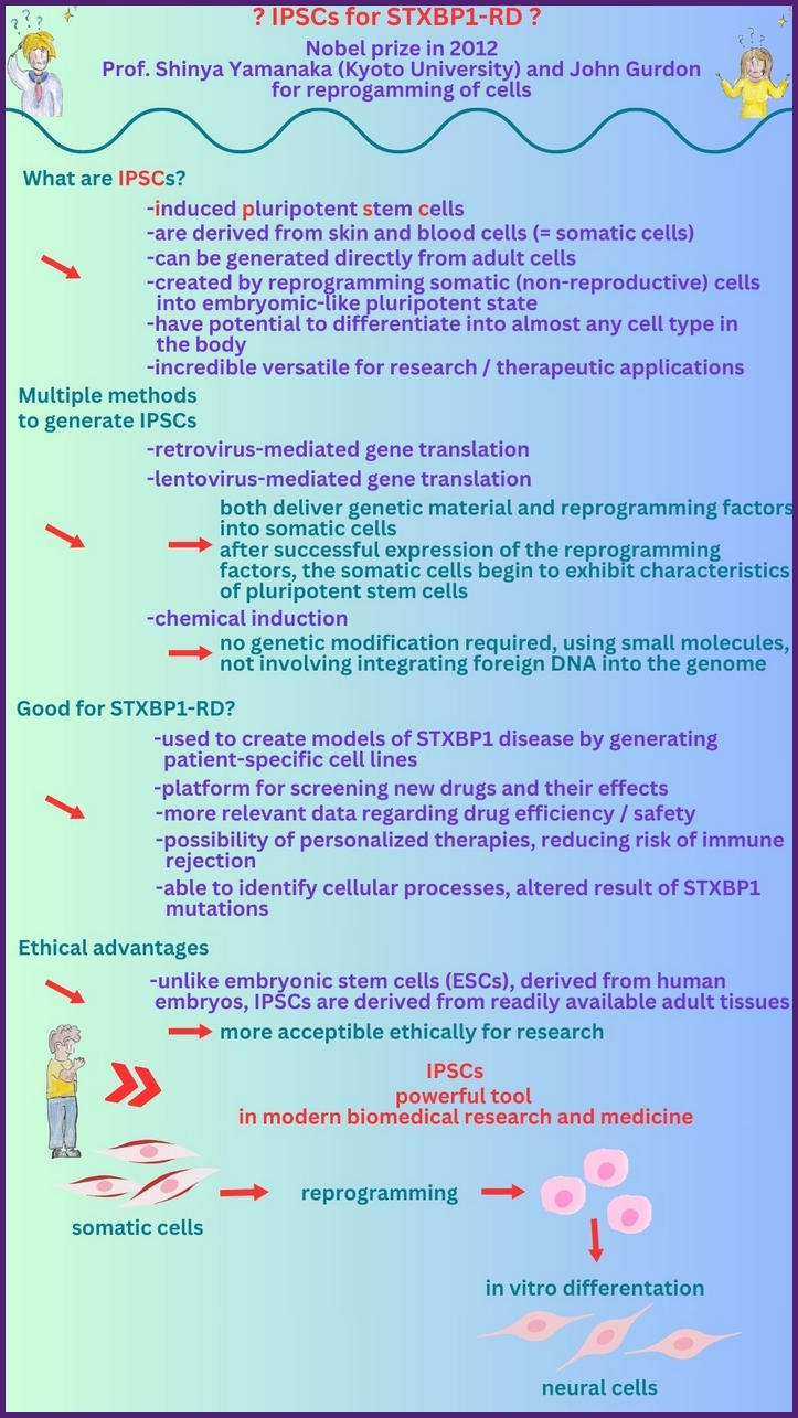 Induzierte pluripotente Stammzellen