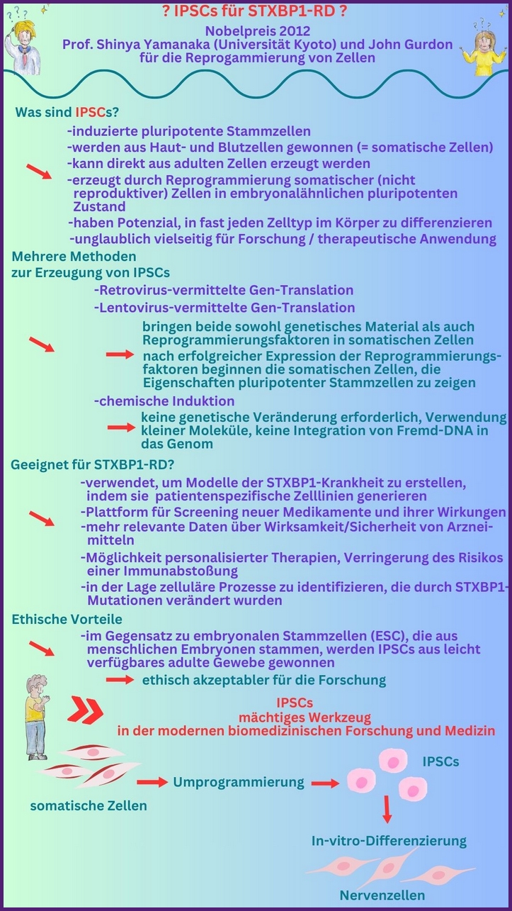 Induzierte pluripotente Stammzellen