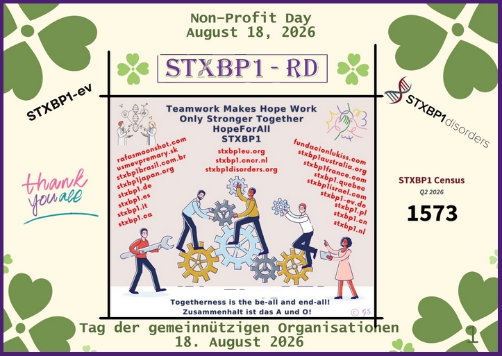 Non-profit Day, 17. August, 2026