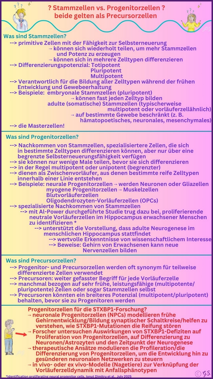 Stammzellen vs. Progenitorzellen