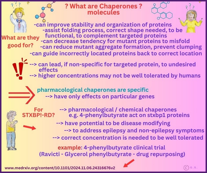 Chaperone