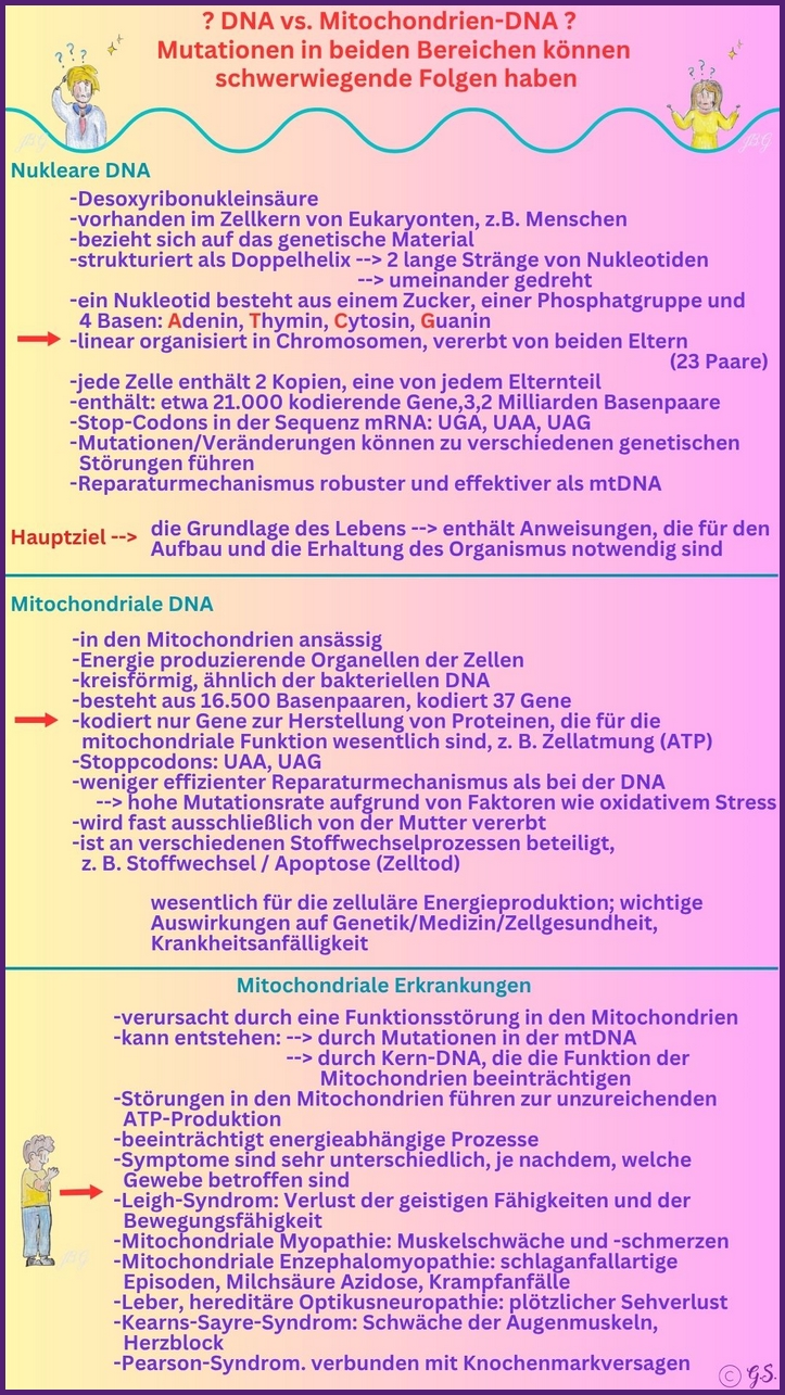 Mitochondriale Erkrankungen