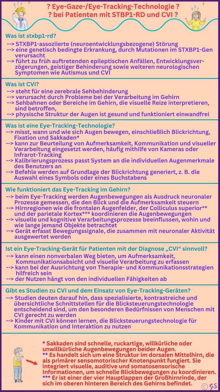 Eye-Gaze Technologie