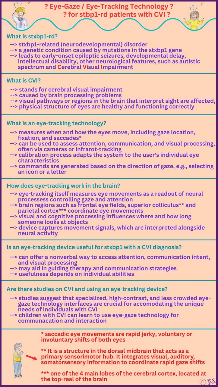 Eye-Gaze Technologie