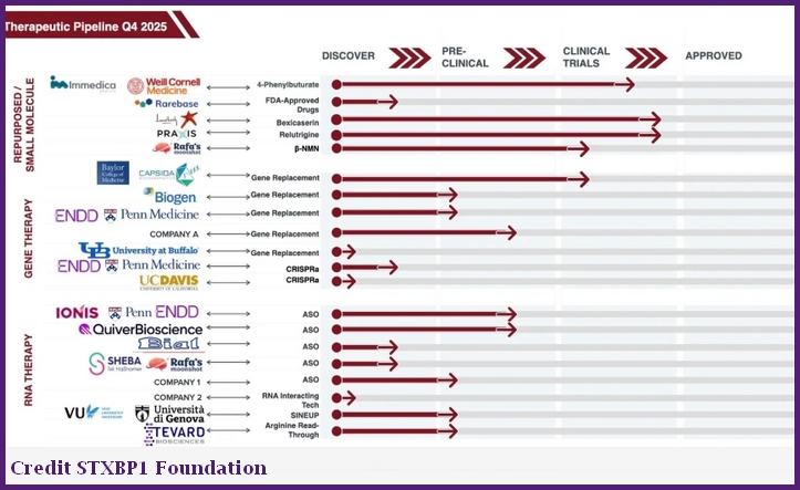 STXBP1 Foundation Pipelines