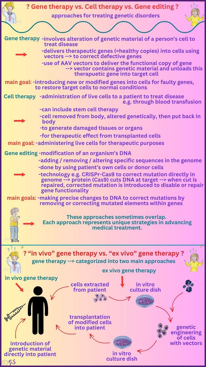 Gentherapie, Genbearbeitung und Zelltherapie 