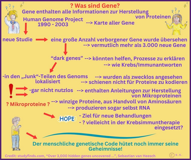 Was sind Gene?