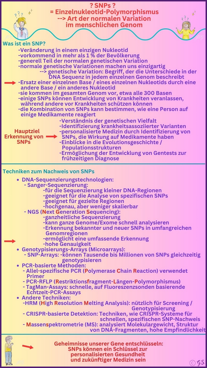 Was sind SNPs?