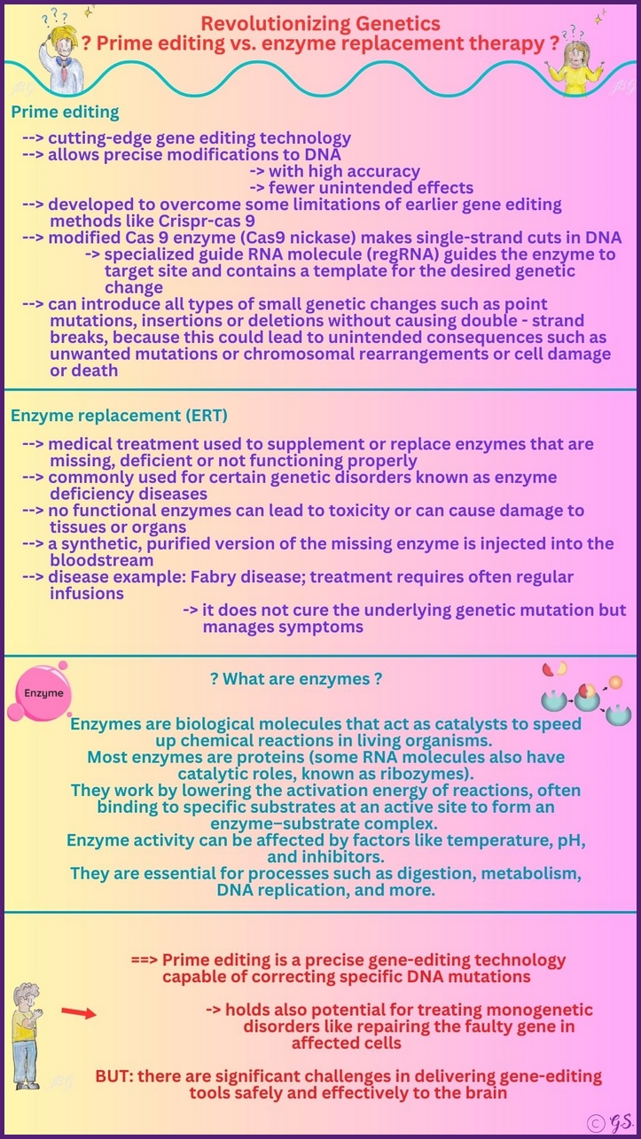 Prime Editing vs. Enzymersatztherapie