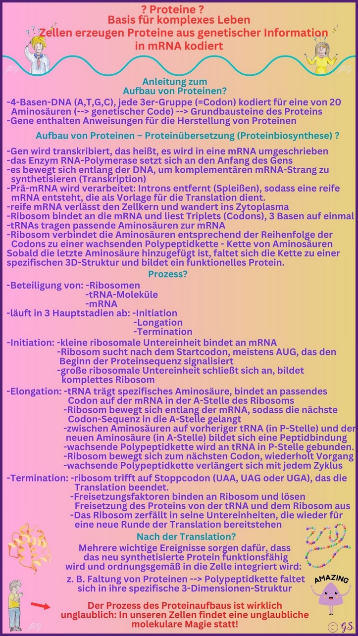 Was sind Proteine??