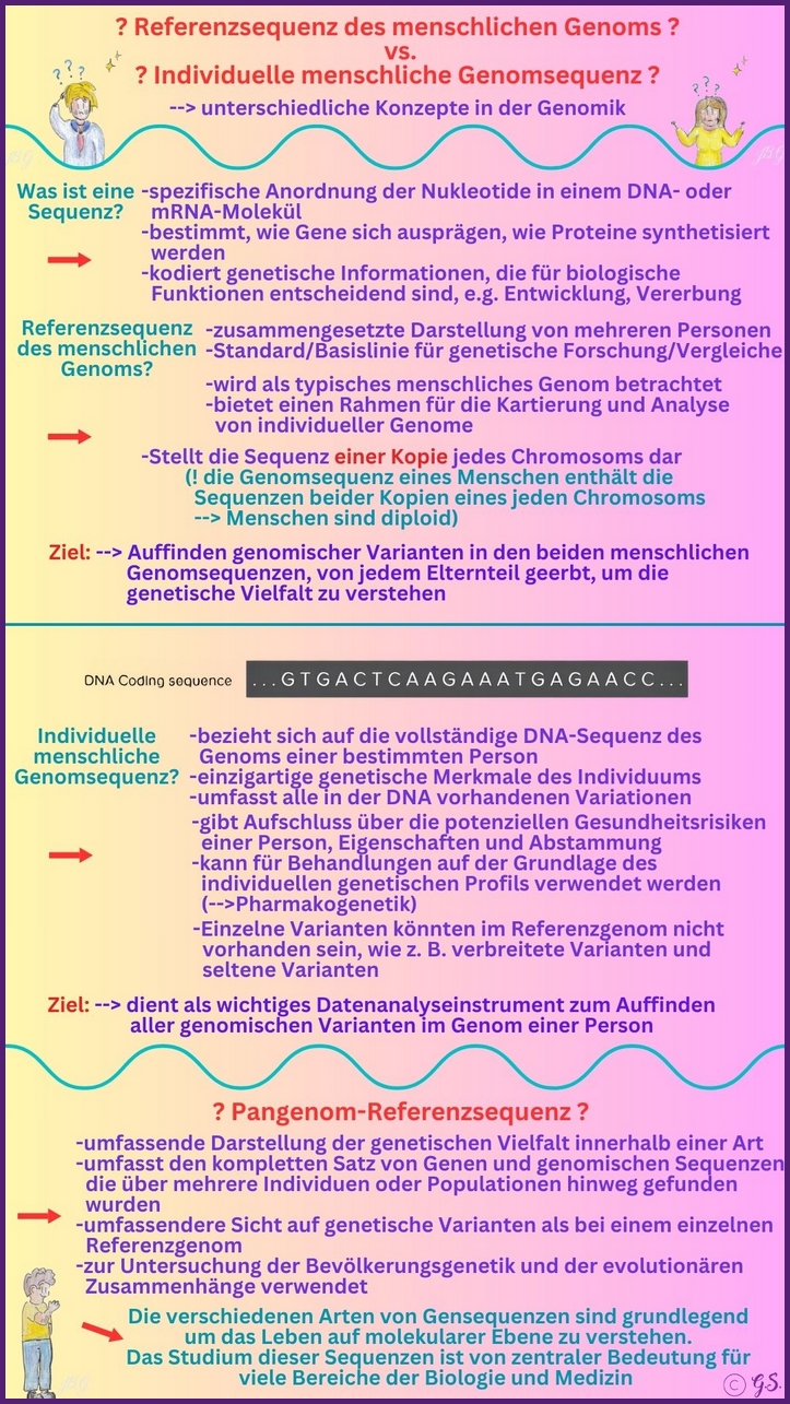 Sequenzierung